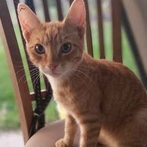 Meet your Posher, Terri